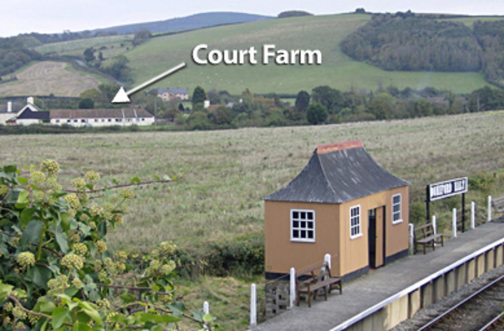 Court Farm Holiday Bungalows Ltd Watchet Extérieur photo